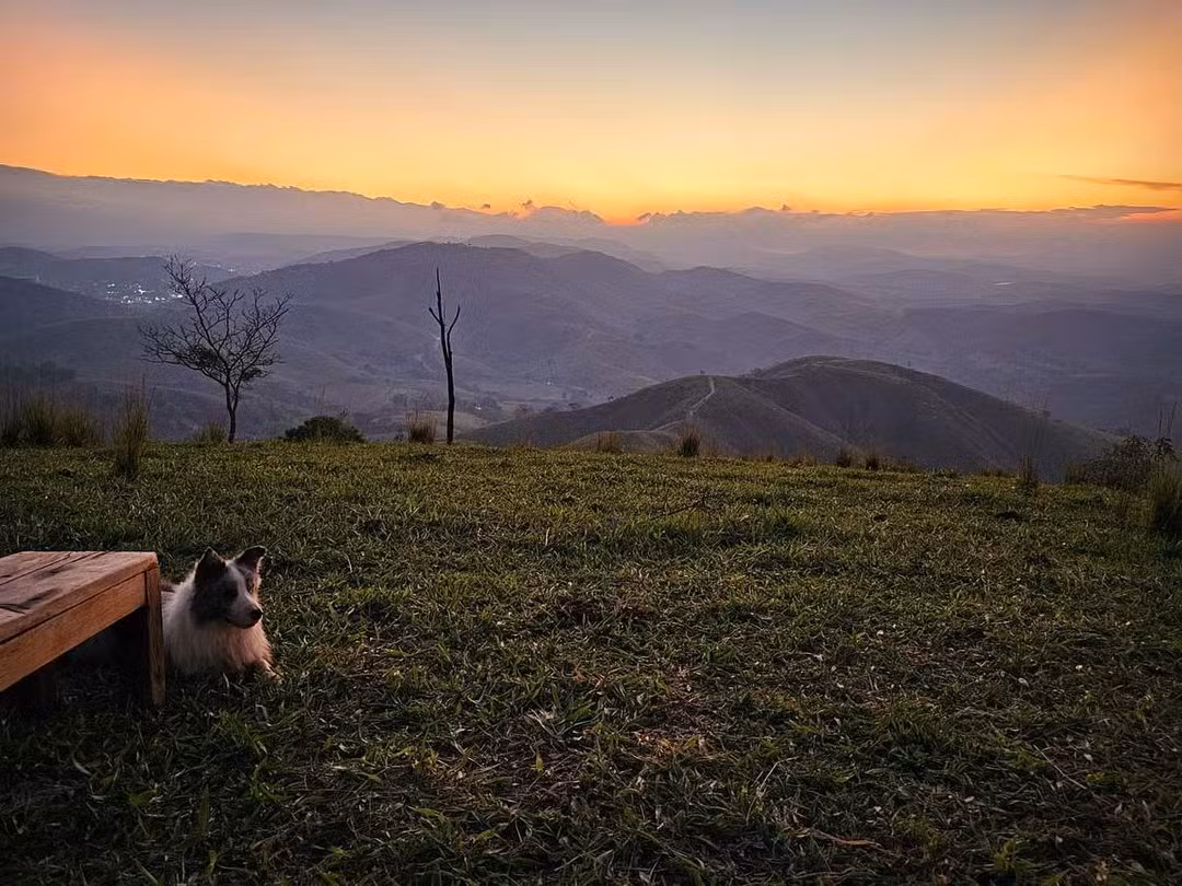 Fazenda de Fernanda Rodrigues