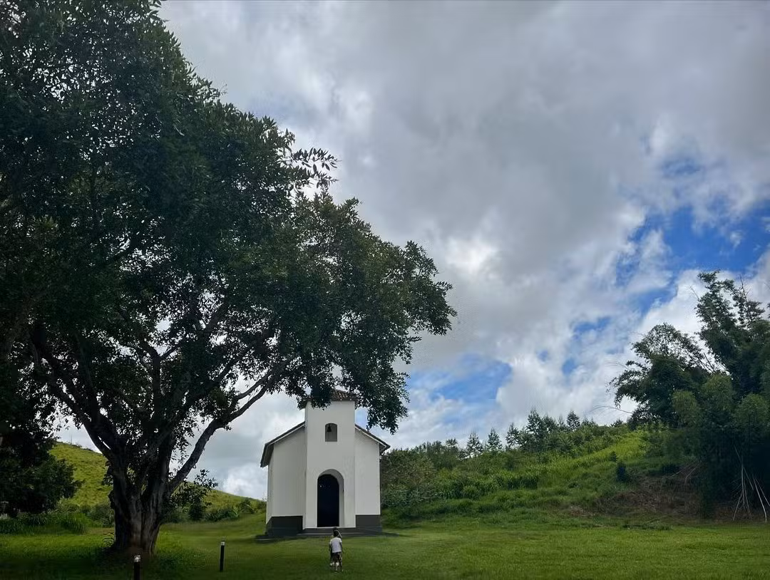 Fazenda de Fernanda Rodrigues