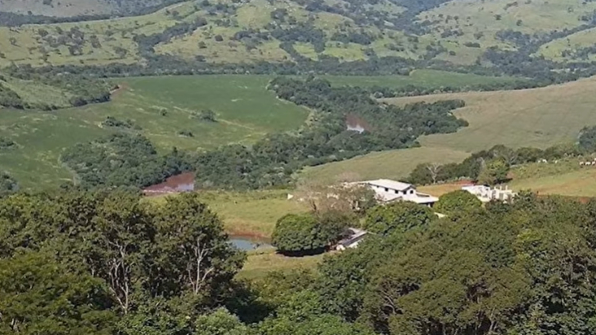 Fazenda de José Rico
