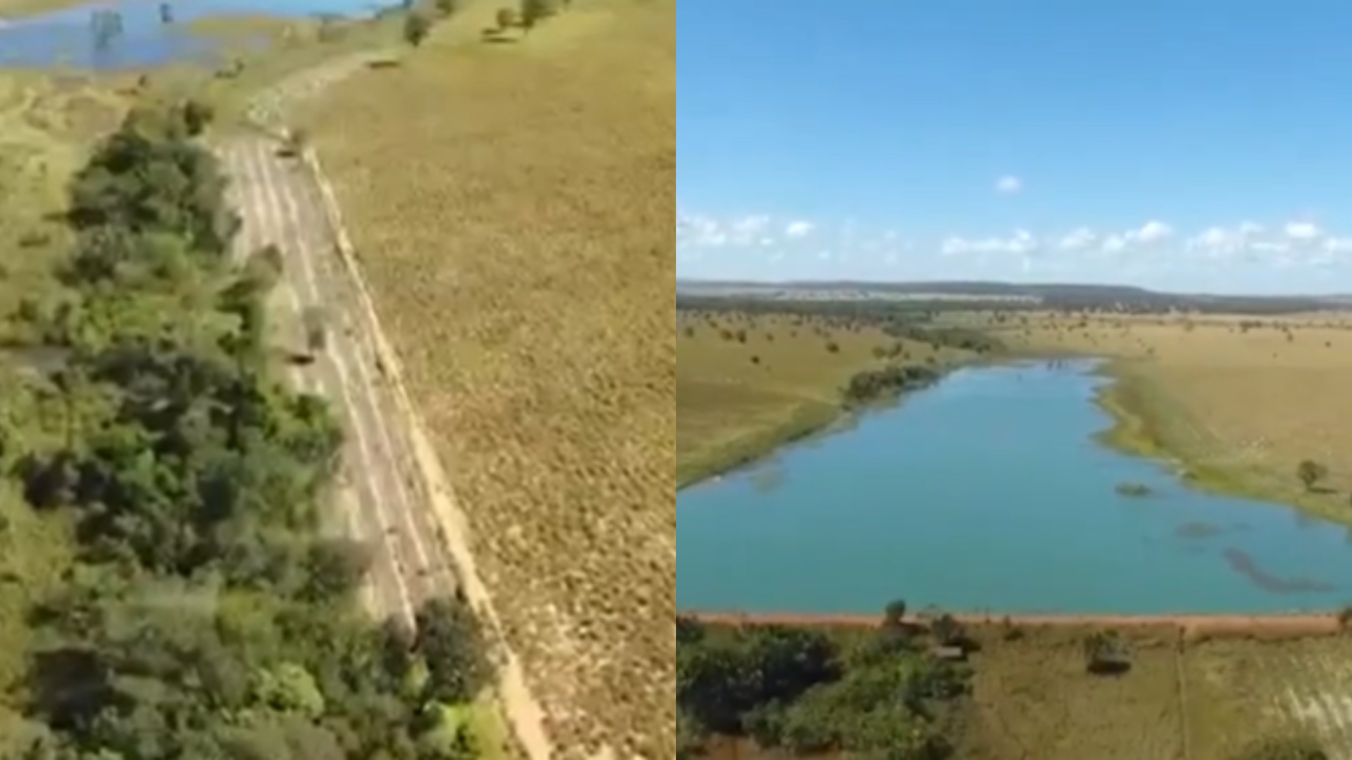 Marrone fazenda