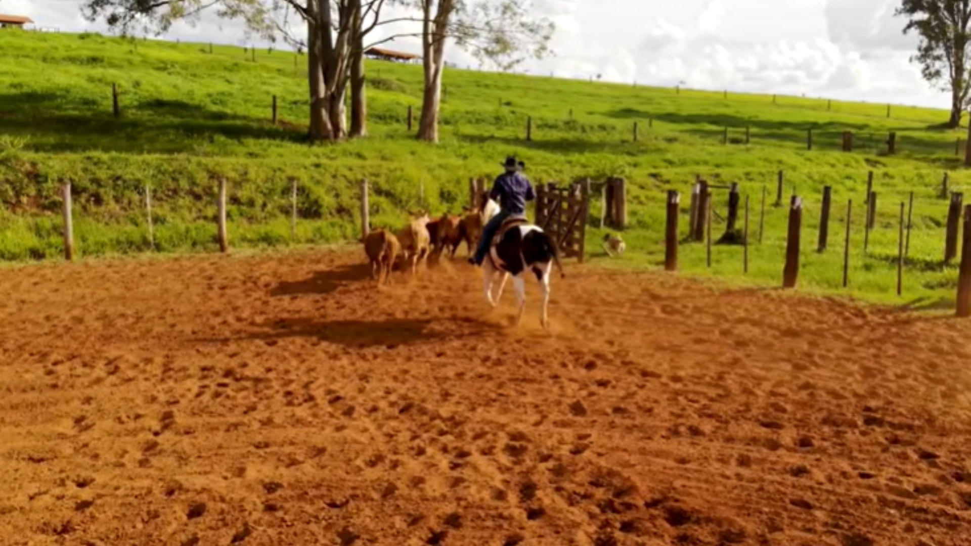Fazenda Rionegro