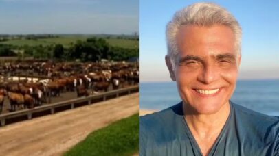 Aos 61 anos, Tarcísio Filho assume fazenda de 10 mil hectares no Pará após morte do pai