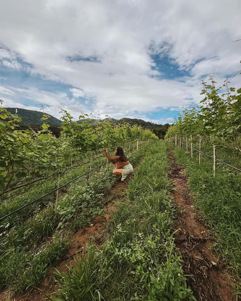 Fazenda da família de Giovanna Lancellotti - Foto: Reprodução / Instagram