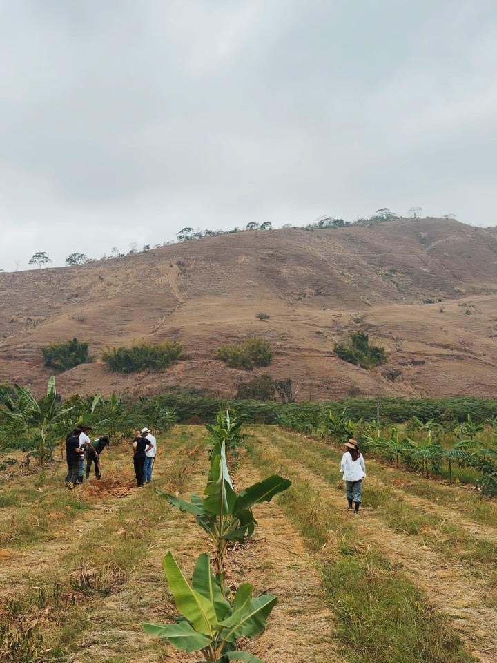 Fazenda da família de Giovanna Lancellotti - Foto: Reprodução / Instagram