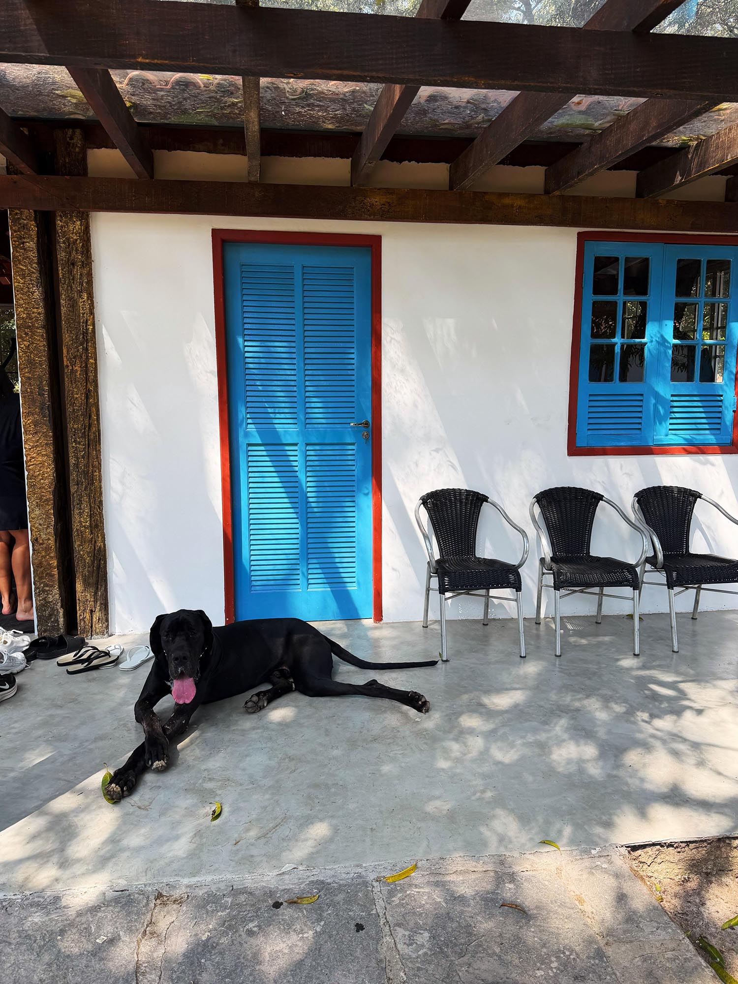 Fazenda da família de Giovanna Lancellotti - Foto: Reprodução / Instagram