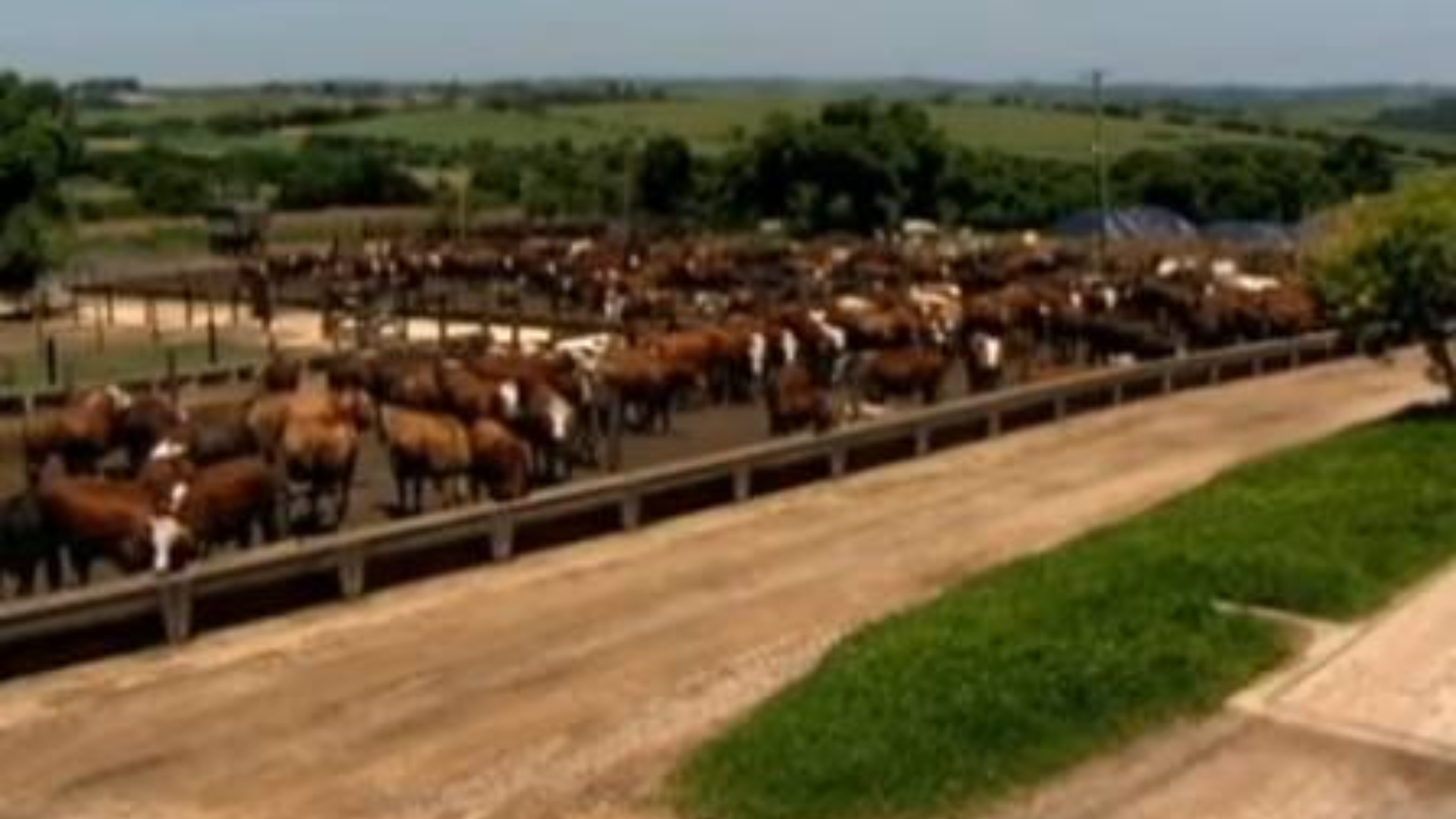fazenda Glória Menezes