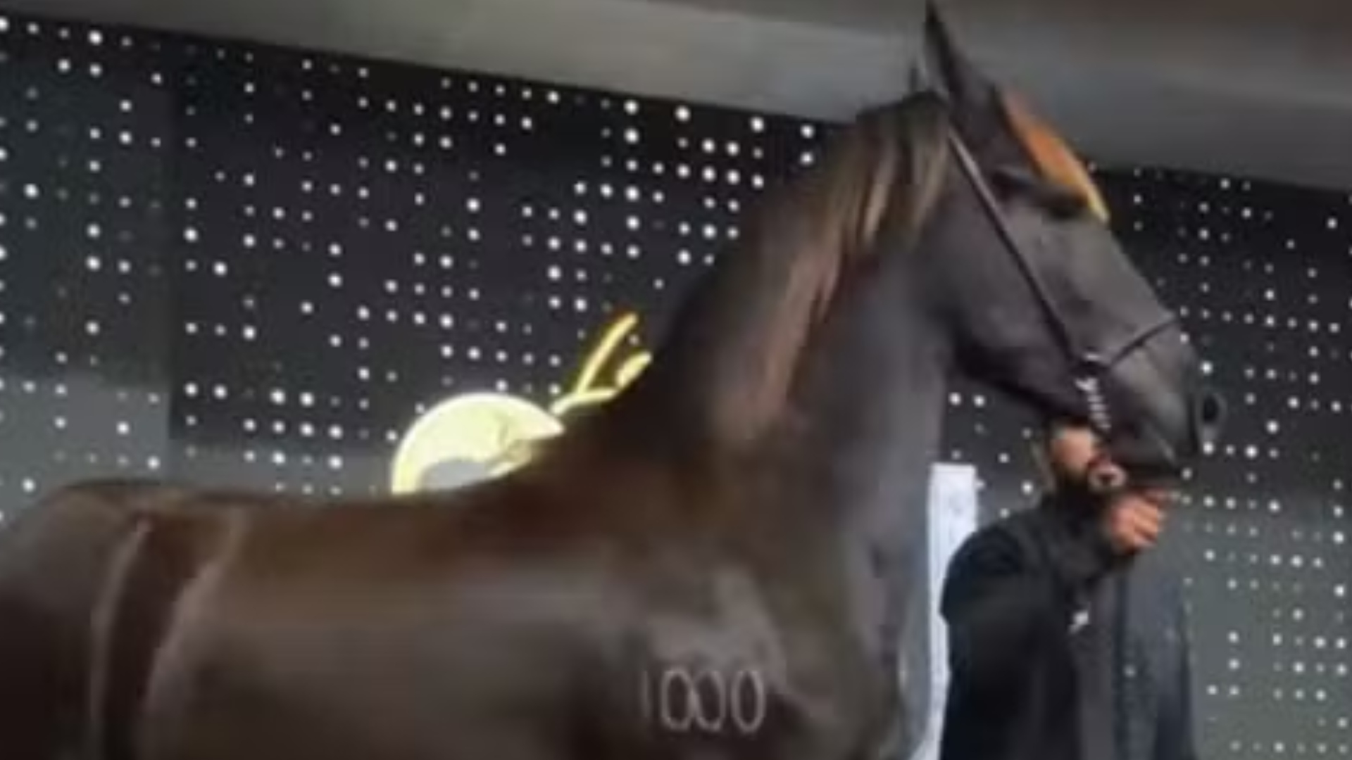 Haras de Gusttavo Lima