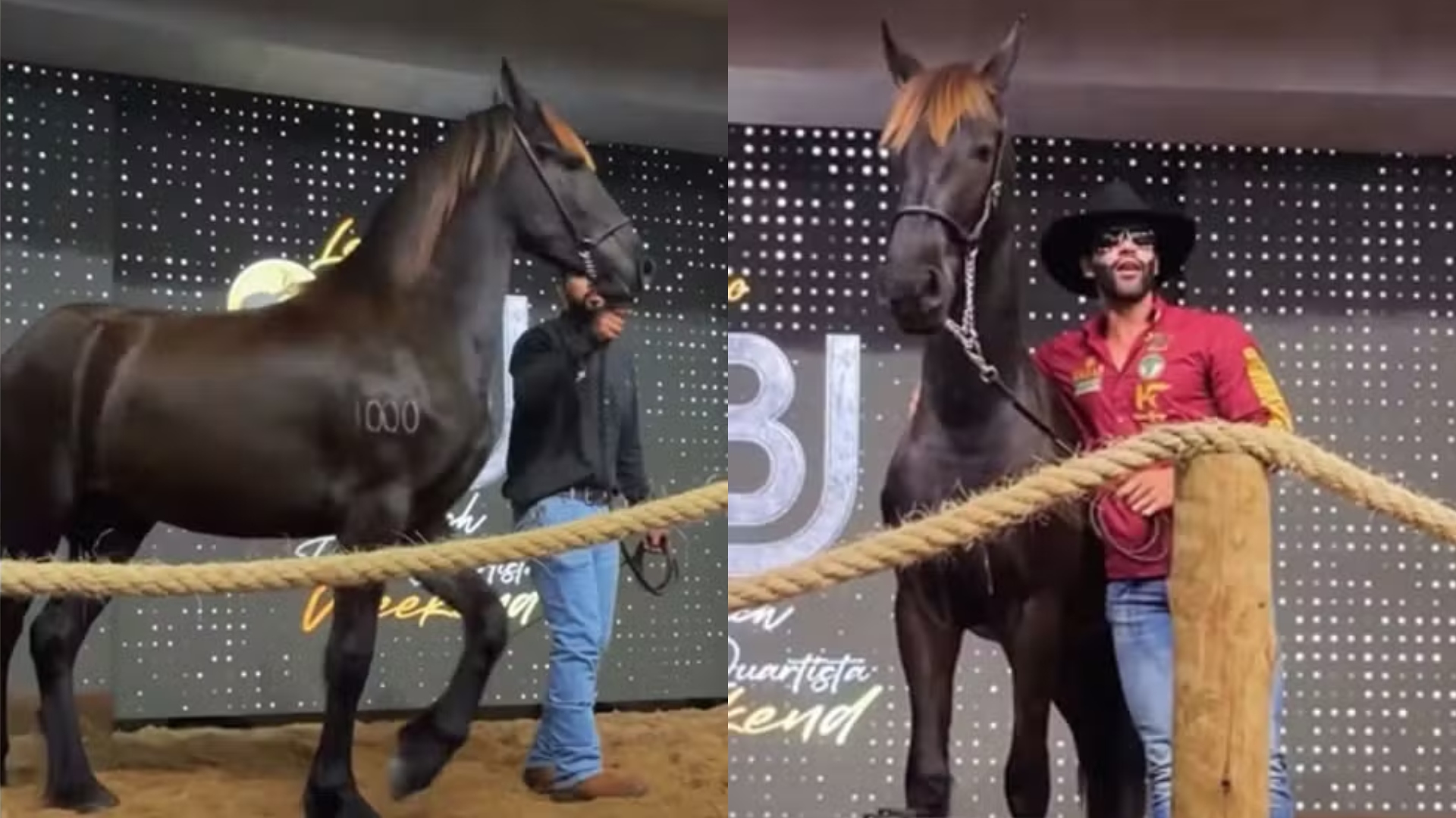 Haras de Gusttavo Lima