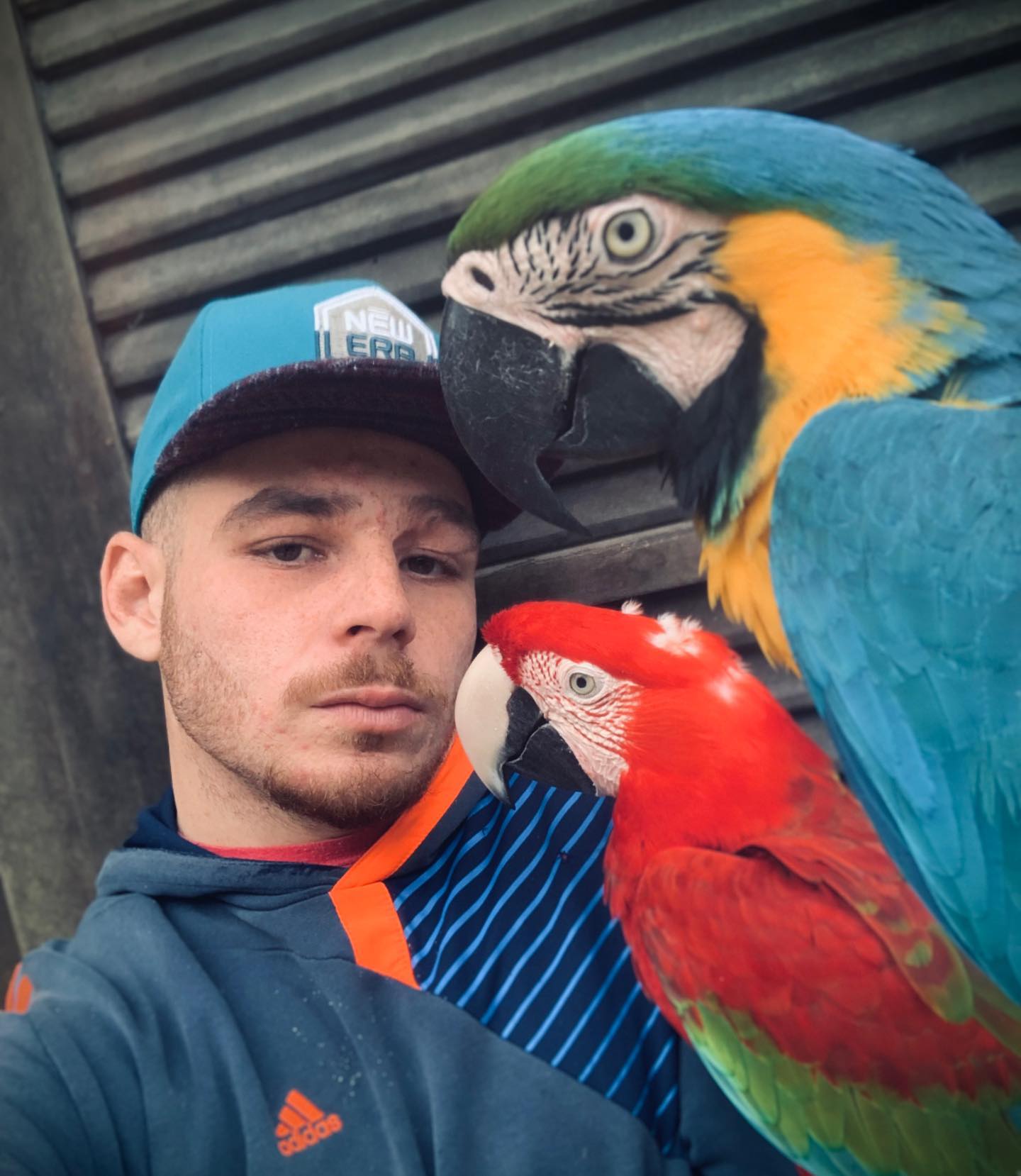 Kaic Crescente - Foto: Reprodução / Instagram @kaic_crescente