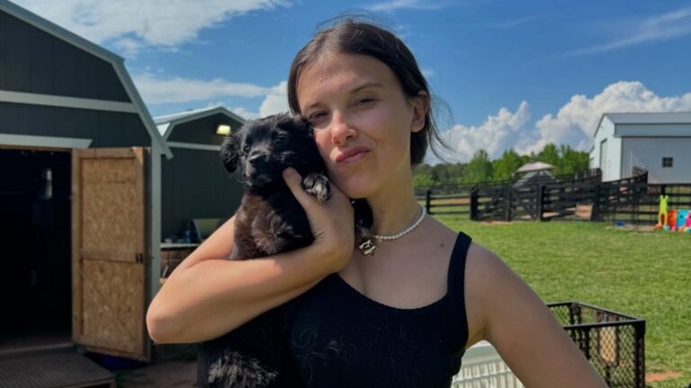 Fazenda de US$ 620 mil de Millie Bobby Brown virou um refúgio para vacas, cabras e cachorros