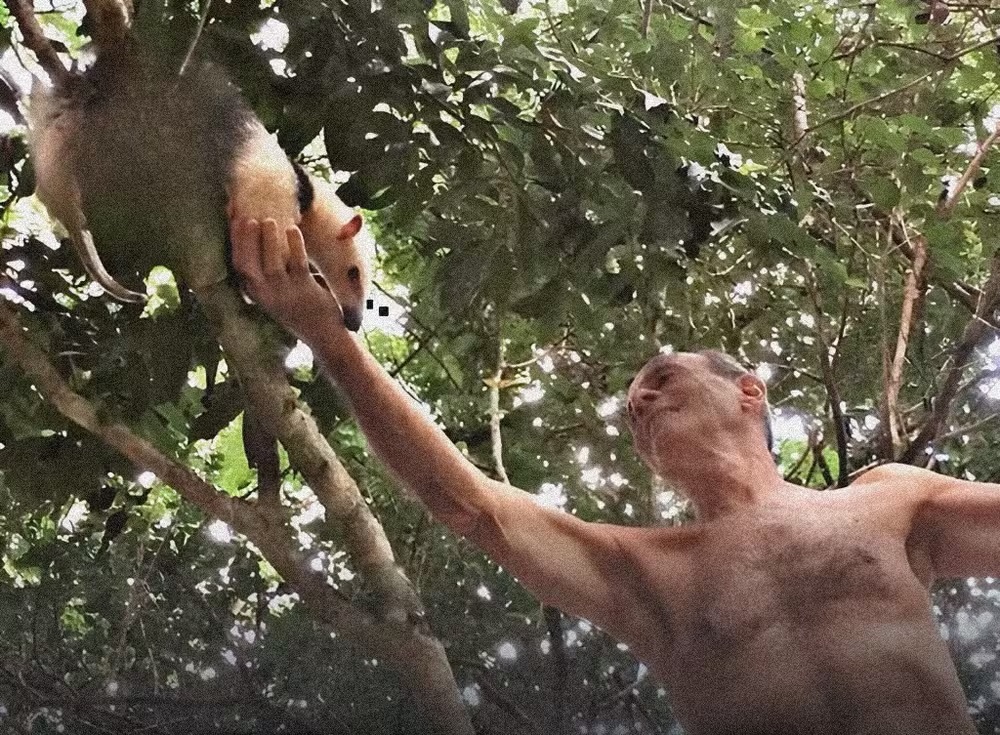 Ney Matogrosso em seu sítio, em Saquarema, Região dos Lagos, no Rio — Foto: Reprodução Instagram