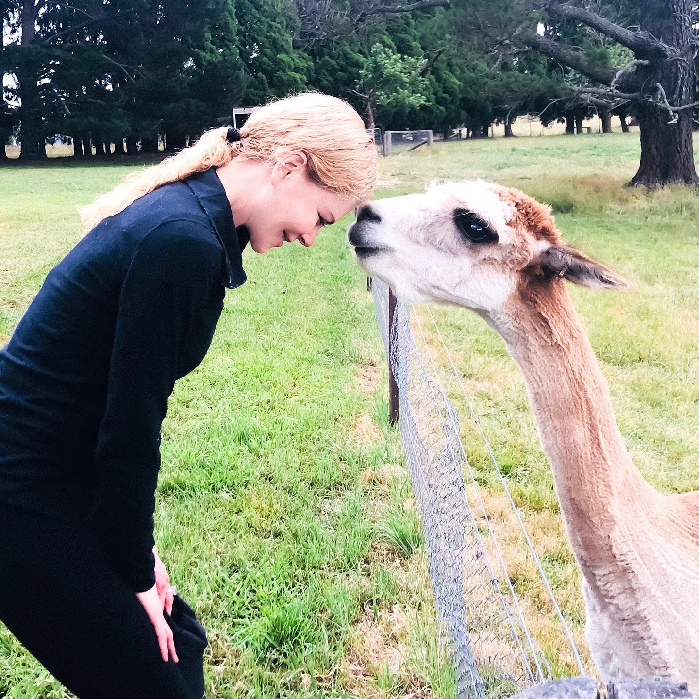 Nicole Kidman em sua fazenda - Foto: Reprodução / Instagram @nicolekidman