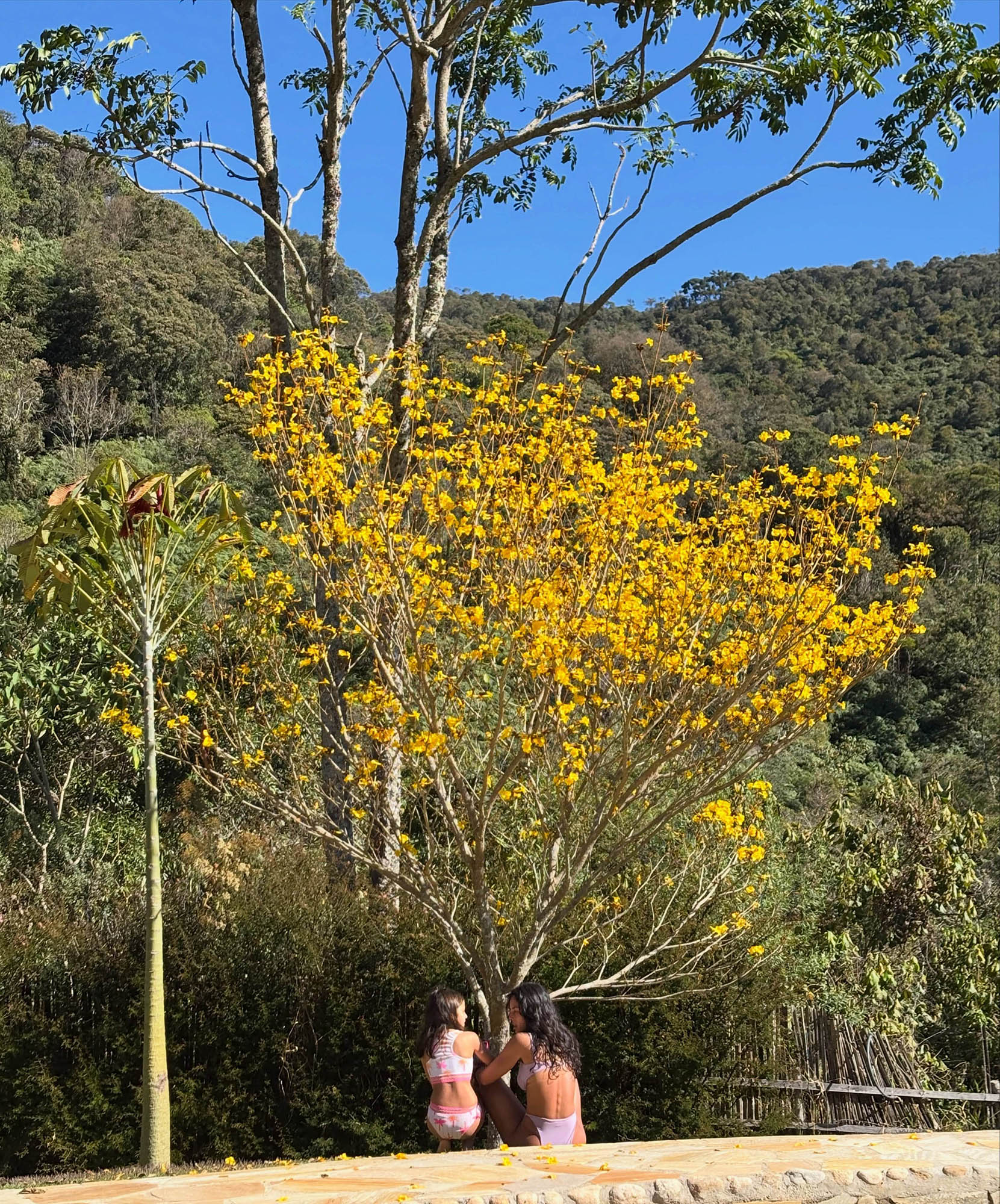 Momentos de Yanna Lavigne com a família no sítio - Foto: Reprodução / Instagram