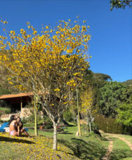 Momentos de Yanna Lavigne com a família no sítio - Foto: Reprodução / Instagram