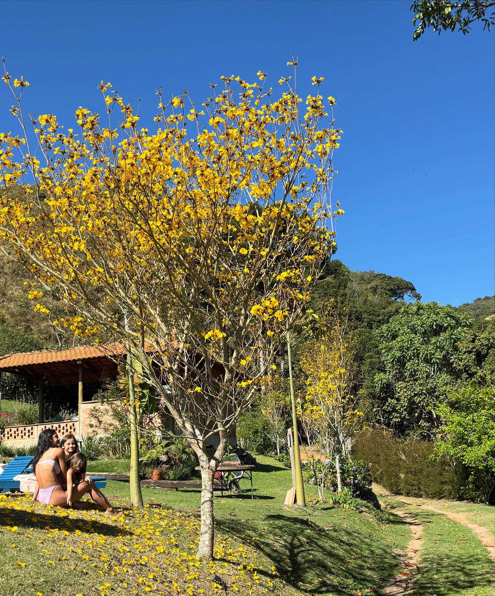 Momentos de Yanna Lavigne com a família no sítio - Foto: Reprodução / Instagram