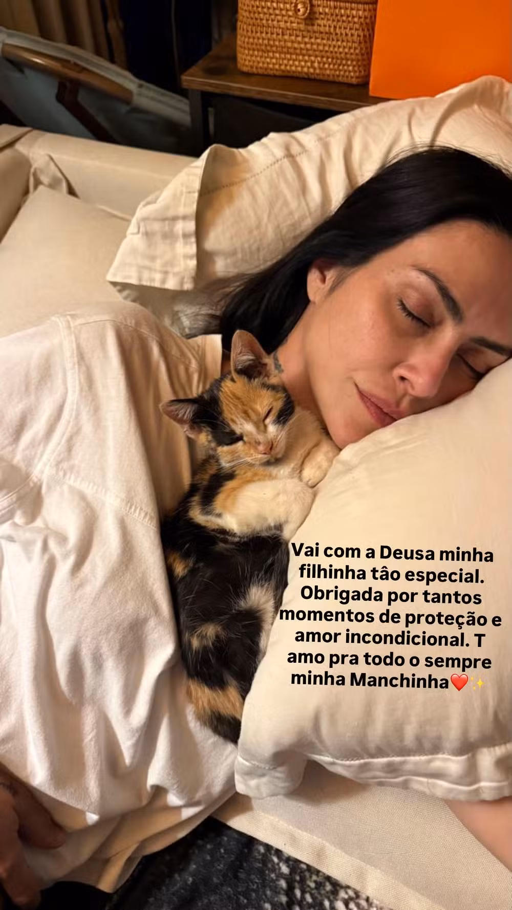 Cleo Pires se despediu da gata Manchinha - Foto: Reprodução/Instagram