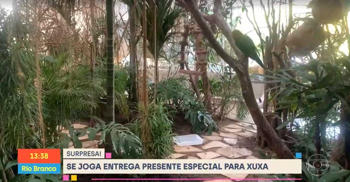 Jardim na antiga mansão da apresentadora no Rio - Foto: Reprodução/TV Globo