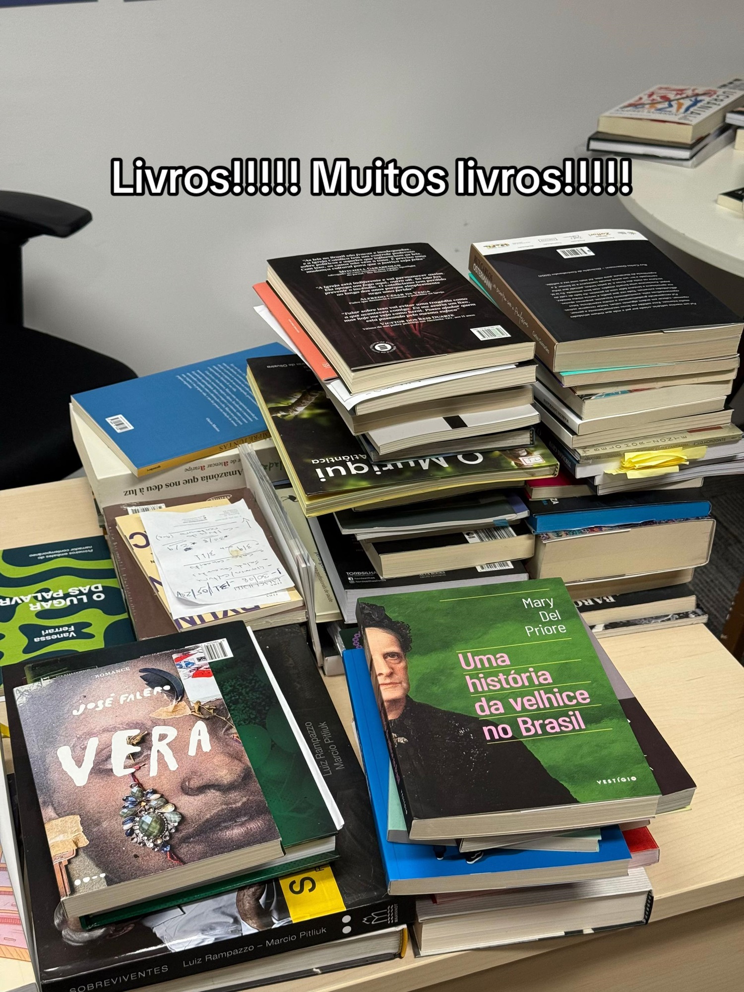 Pedro Bial compartilha itens inusitados em sua casa — Foto: Reprodução/Tiktok