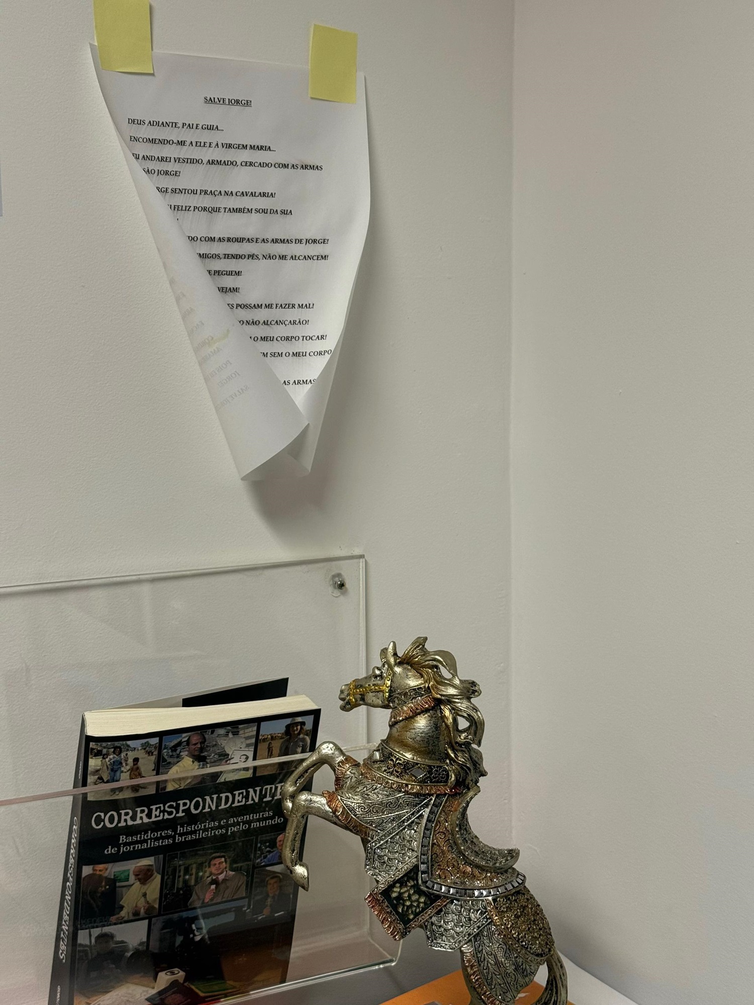 Pedro Bial compartilha itens inusitados em sua casa — Foto: Reprodução/Tiktok