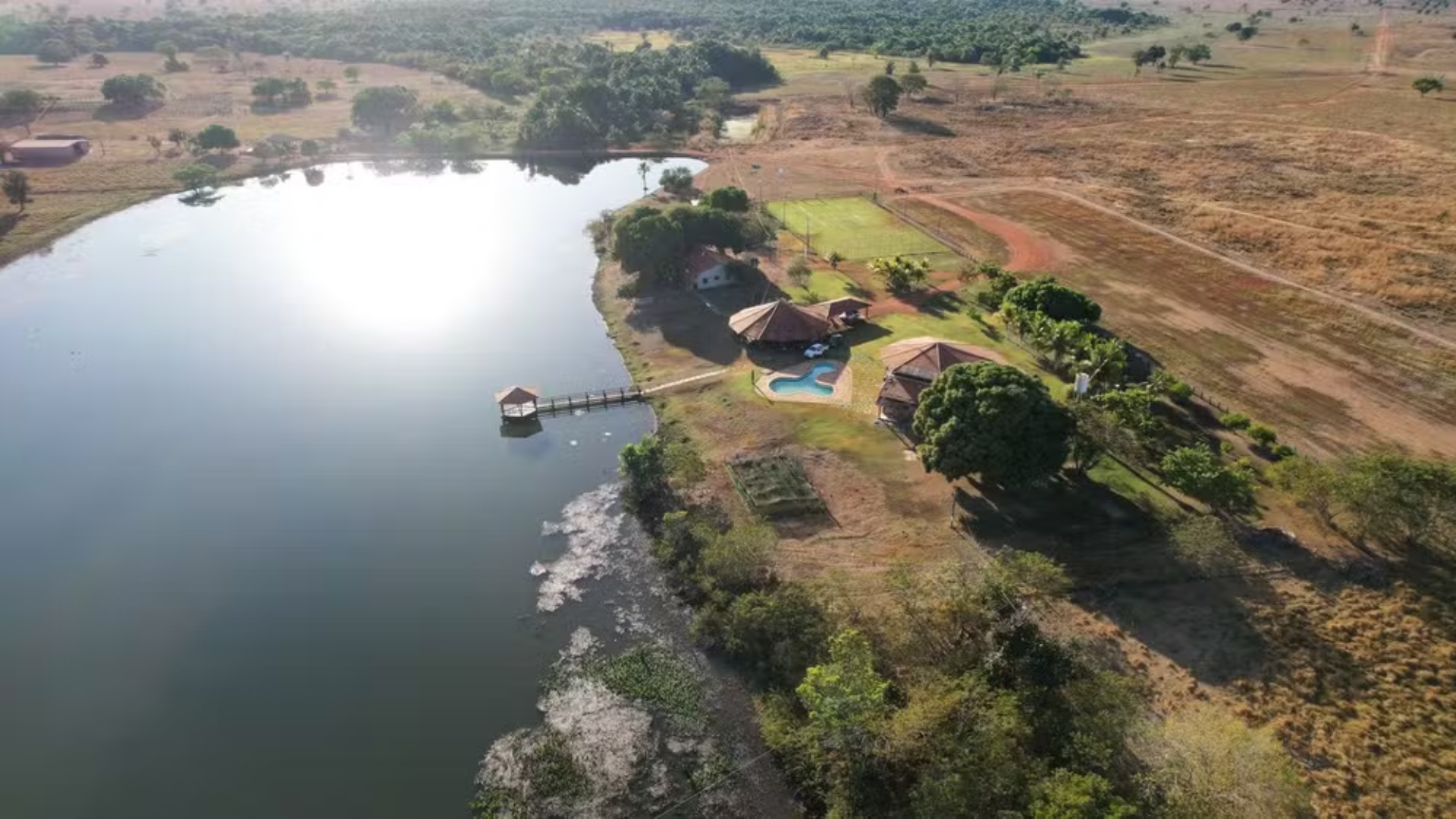 Amado Batista fazenda criação de gado