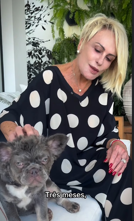 Cachorro de Ana Maria Braga – Foto: Instagram