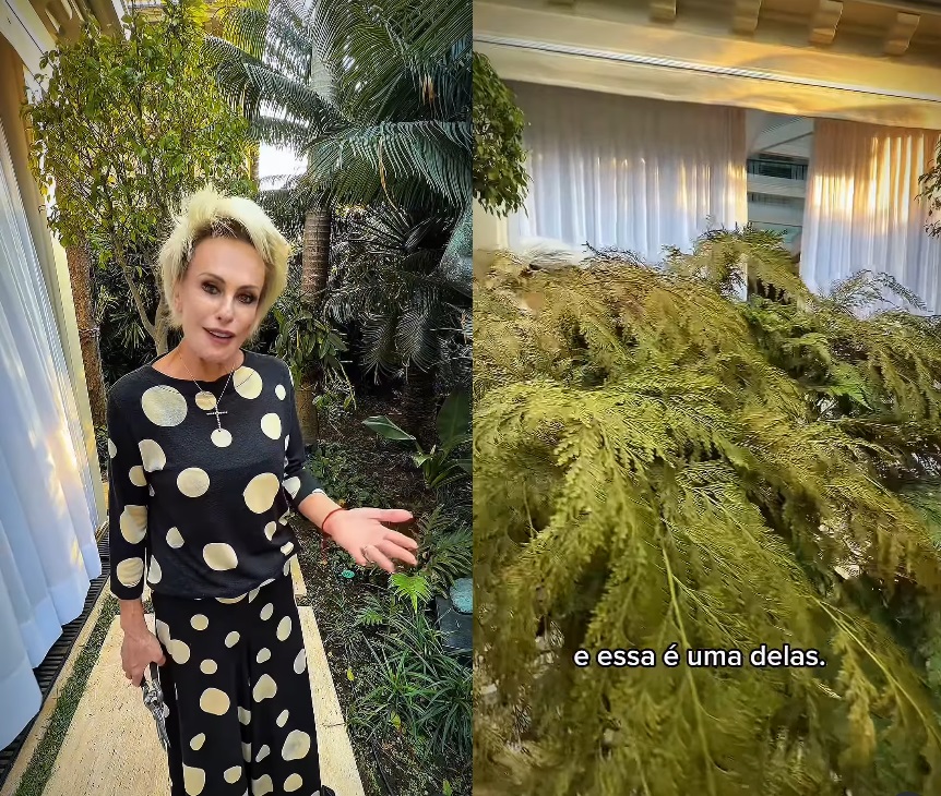 Plantas de Ana Maria Braga - Foto: Instagram