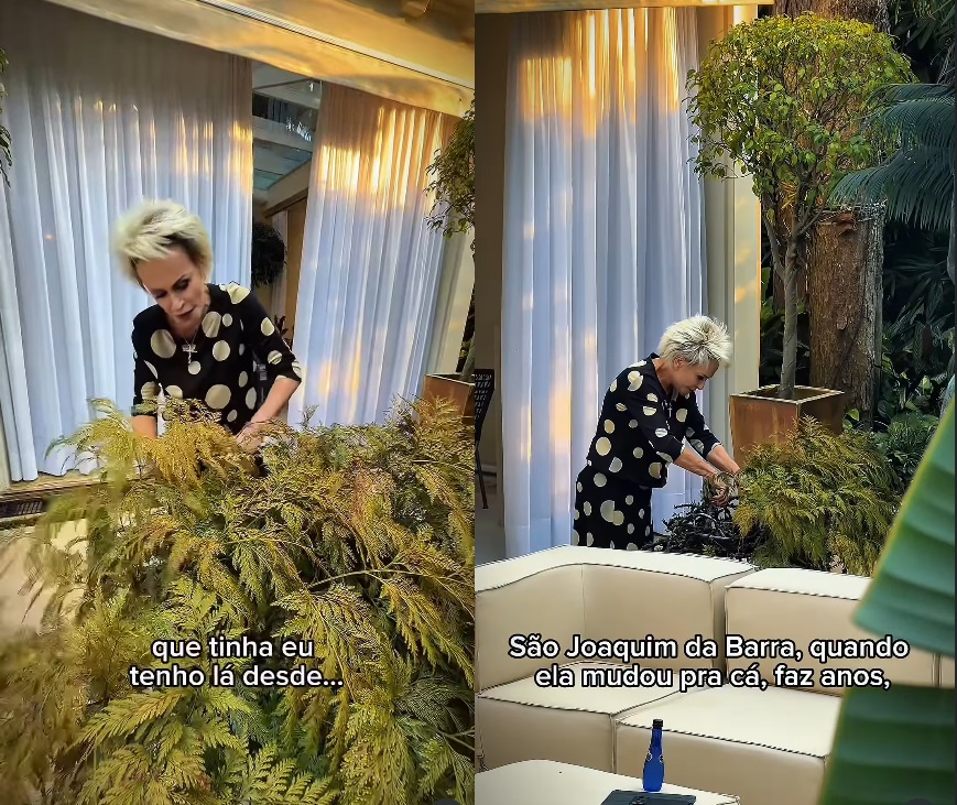 Plantas de Ana Maria Braga - Foto: Instagram