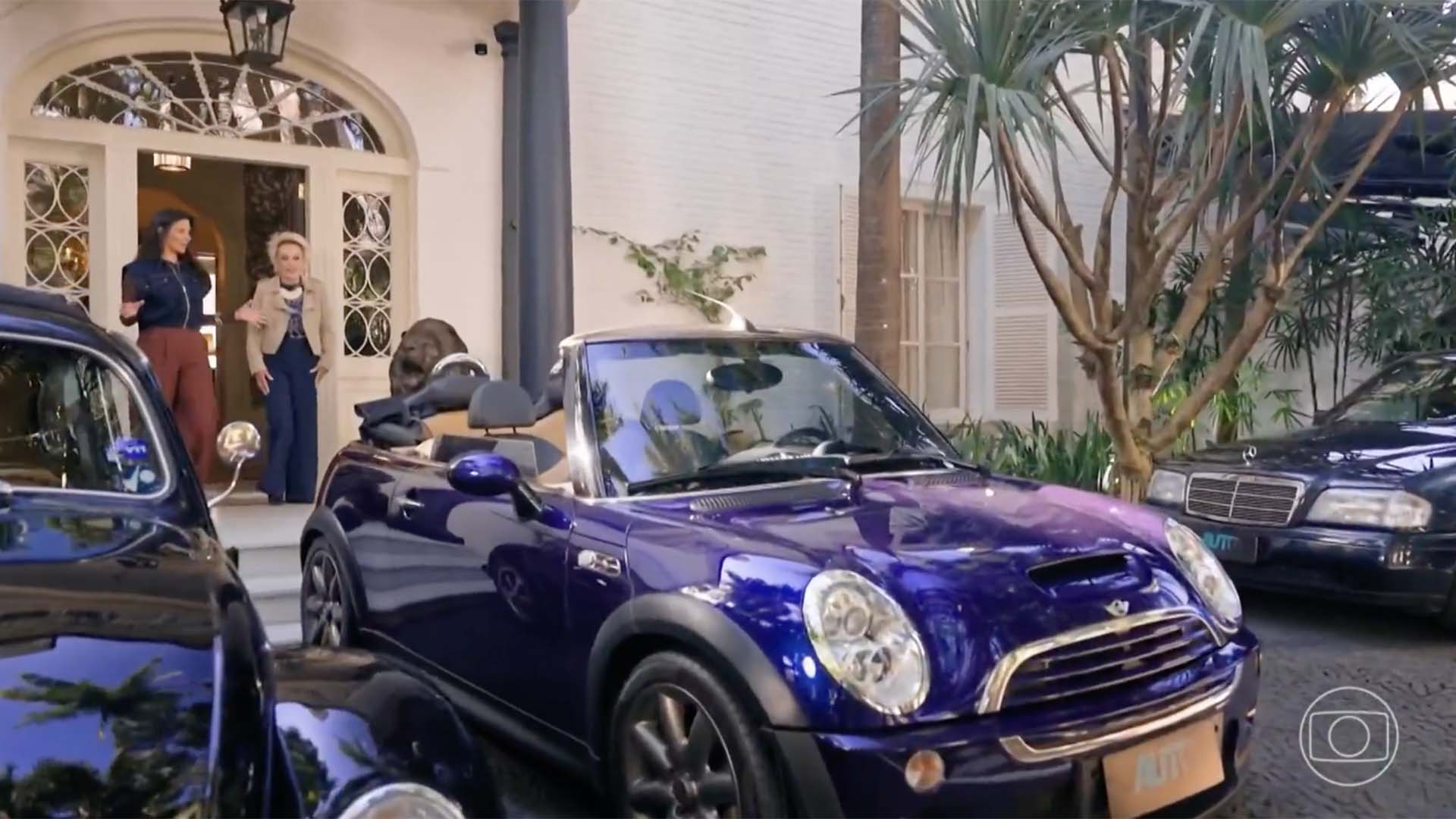 Coleção de carros de Ana Maria Braga - Foto: Reprodução / Globo