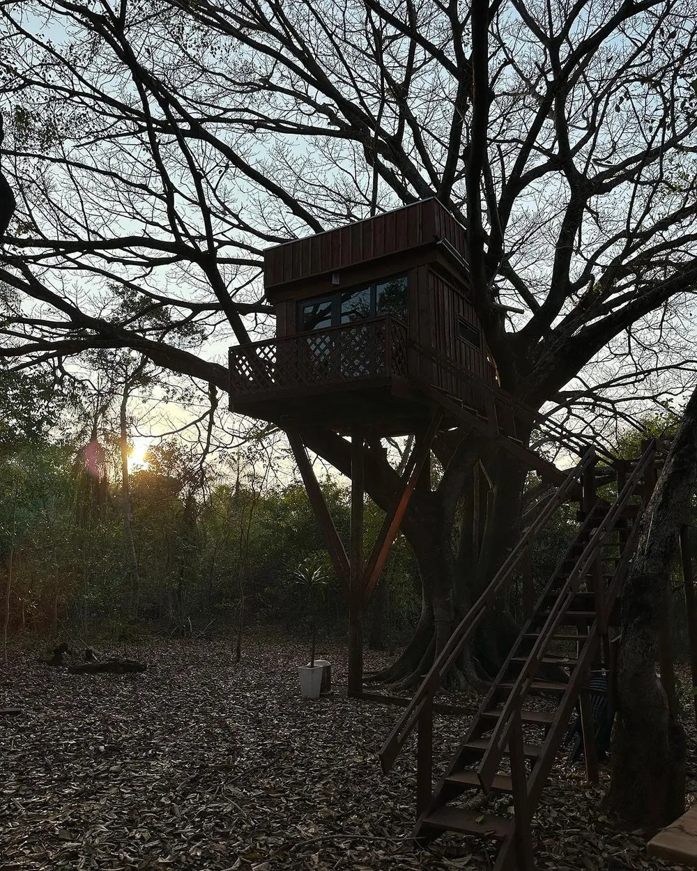 Casa na árvore dos filhos de Michel Teló