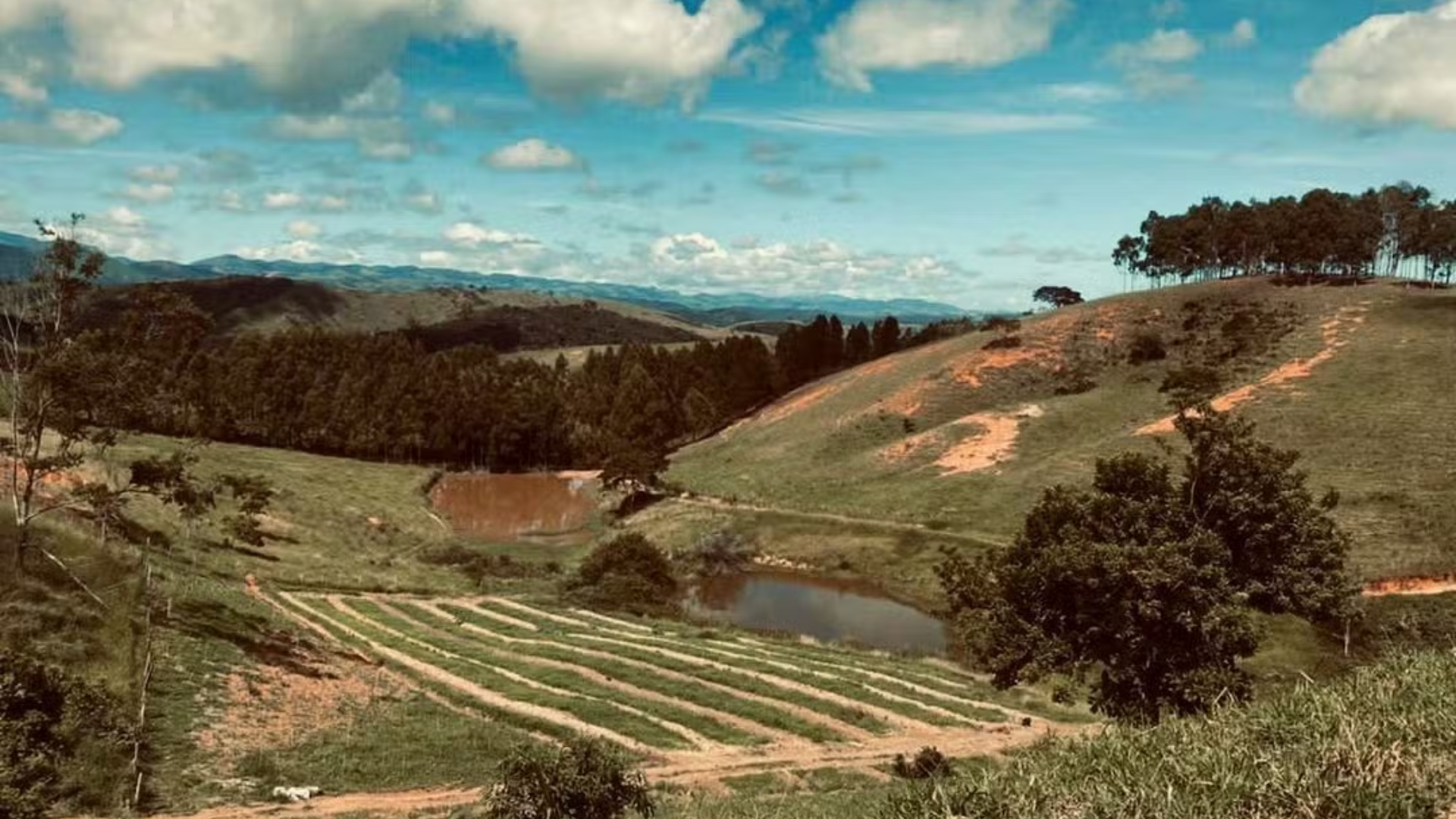 Fernanda Rodrigues capela fazenda
