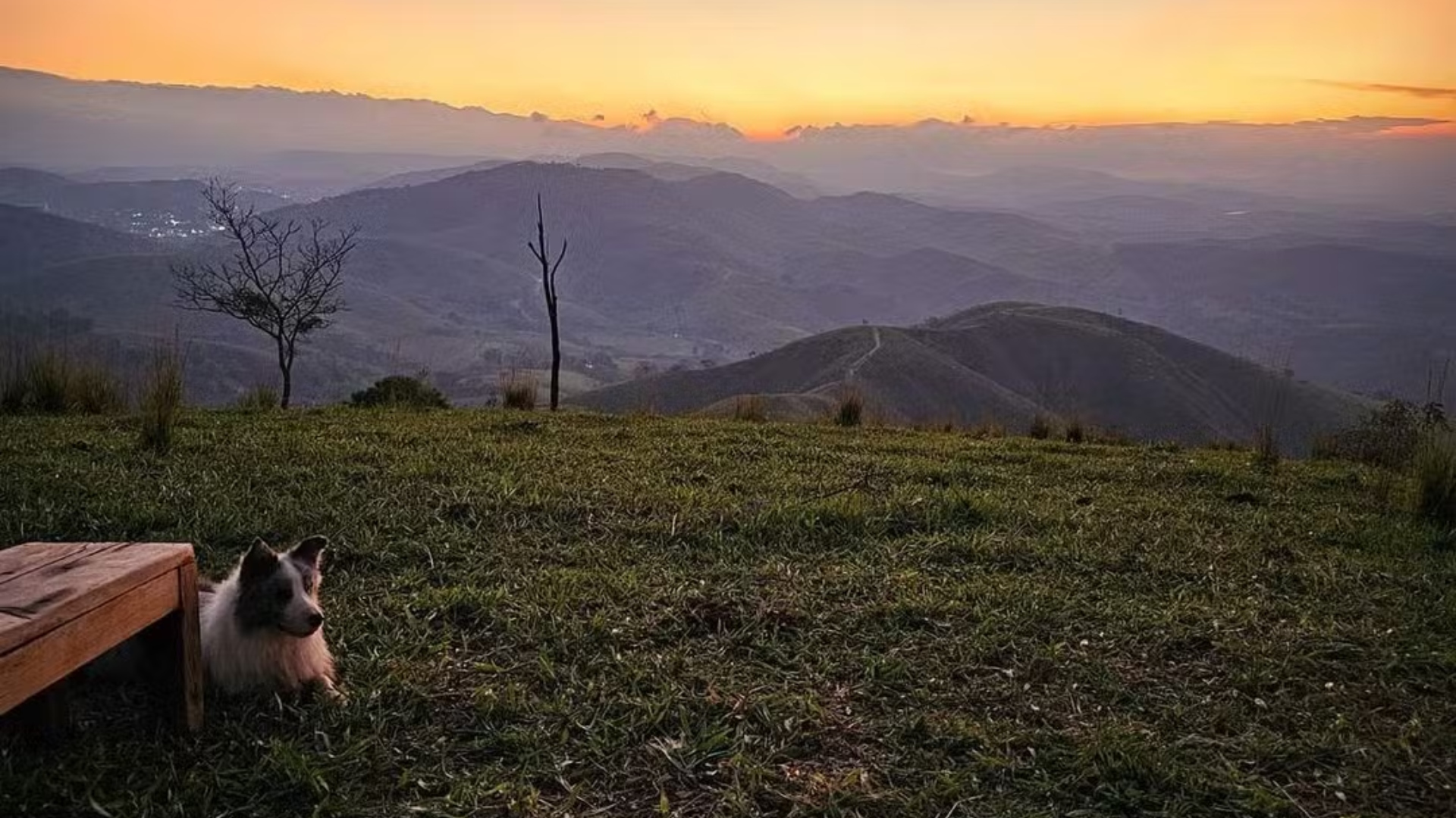 Fernanda Rodrigues capela fazenda
