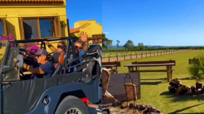Com 108 hectares no Sul, apresentador produz vinhos e azeite próprio em sua vinícola