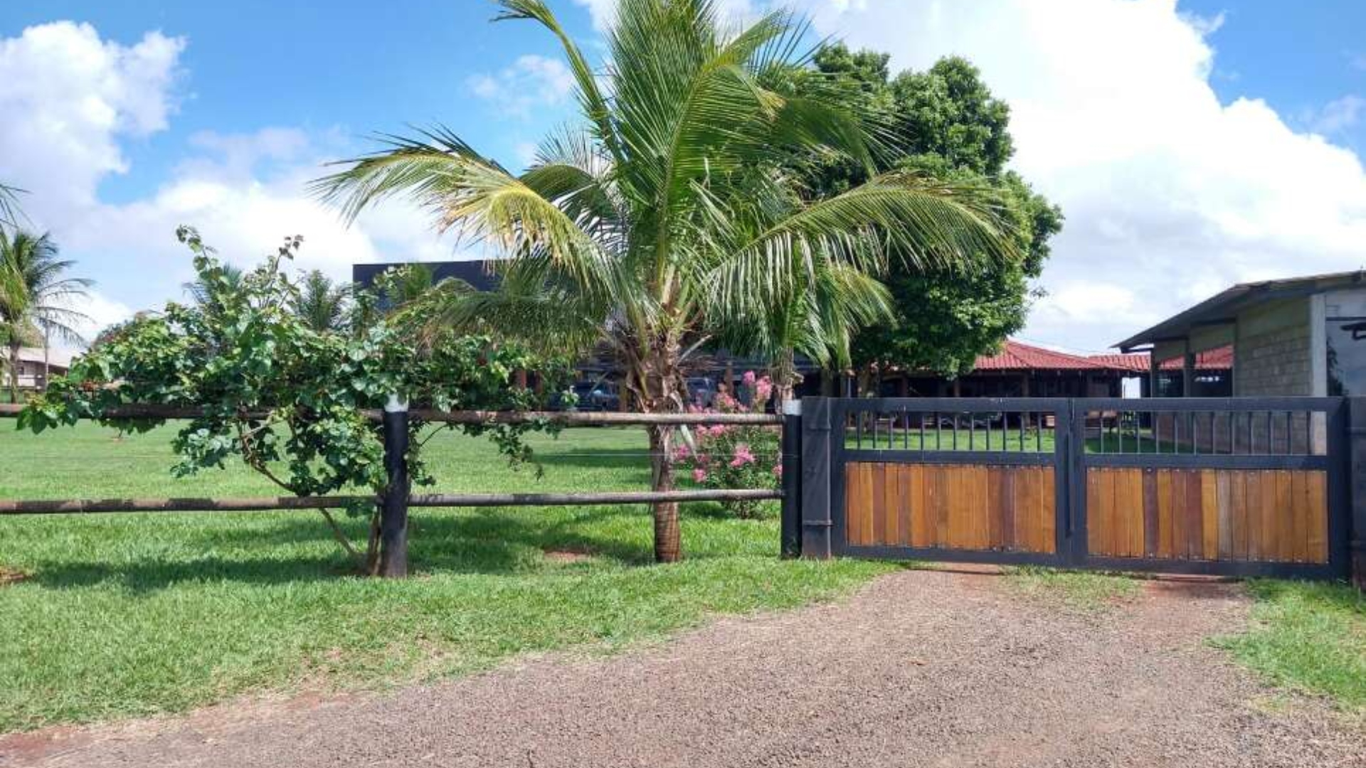 João Guerreiro rancho