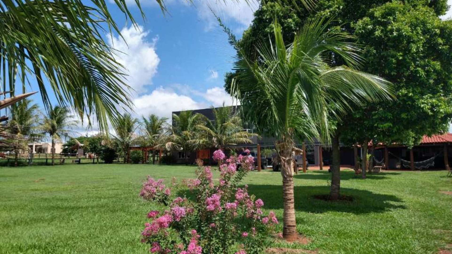 João Guerreiro rancho