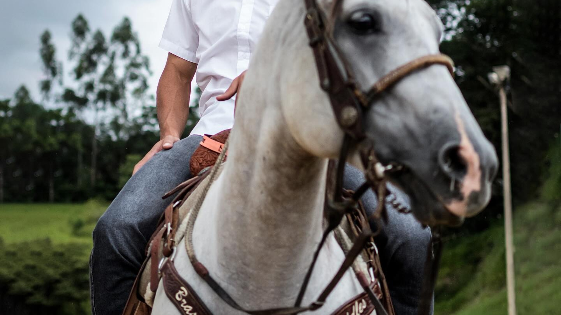 Lucas Silva fazenda