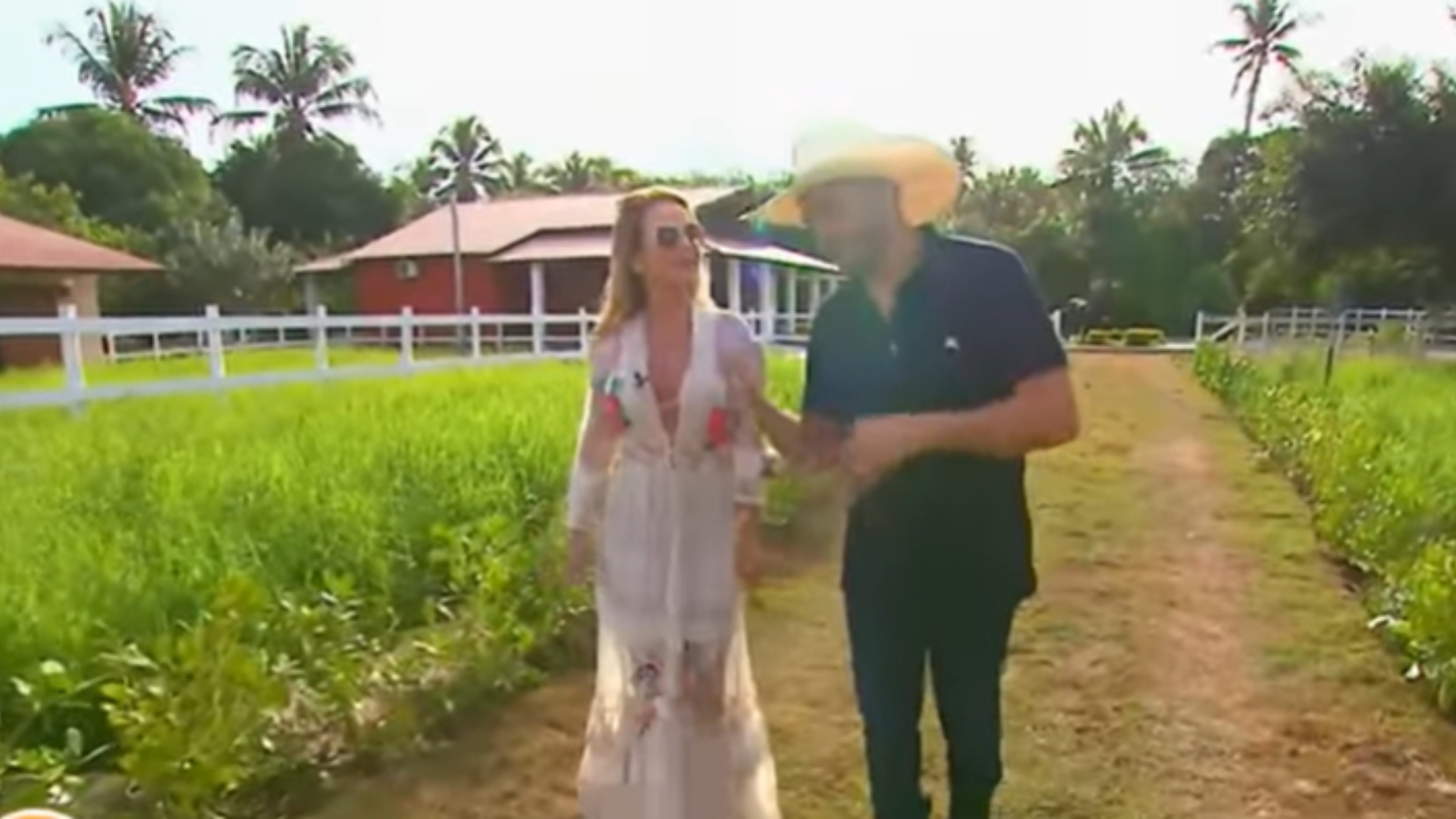 Mano Walter fazenda