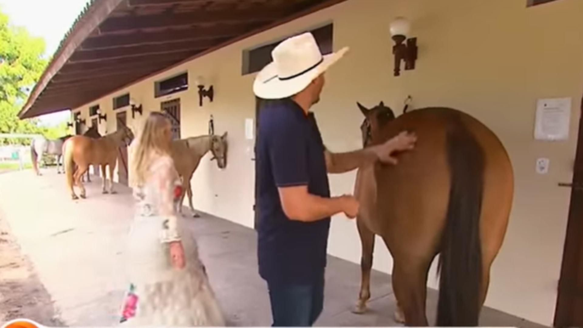 Mano Walter fazenda