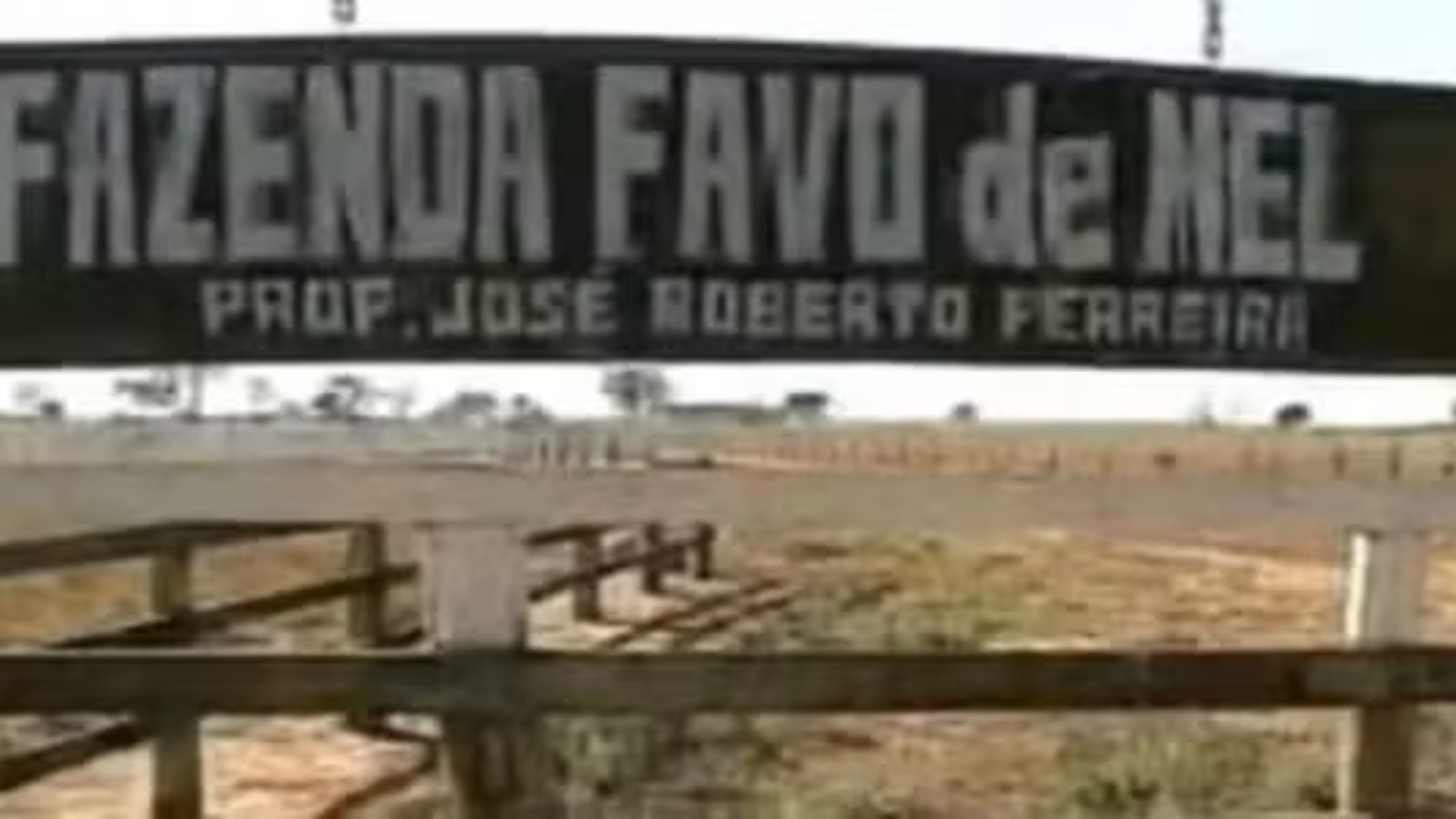 Marrone fazenda
