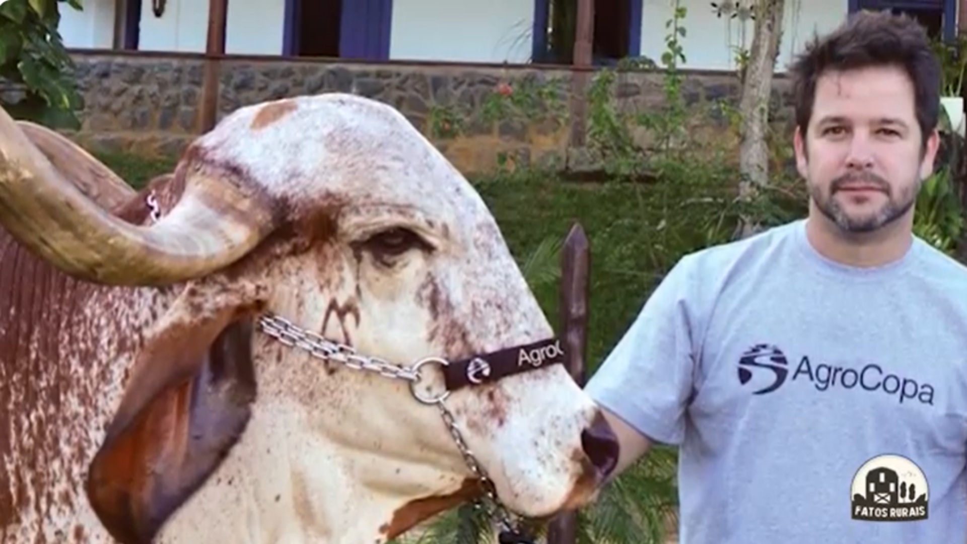 Murilo Benício fazenda