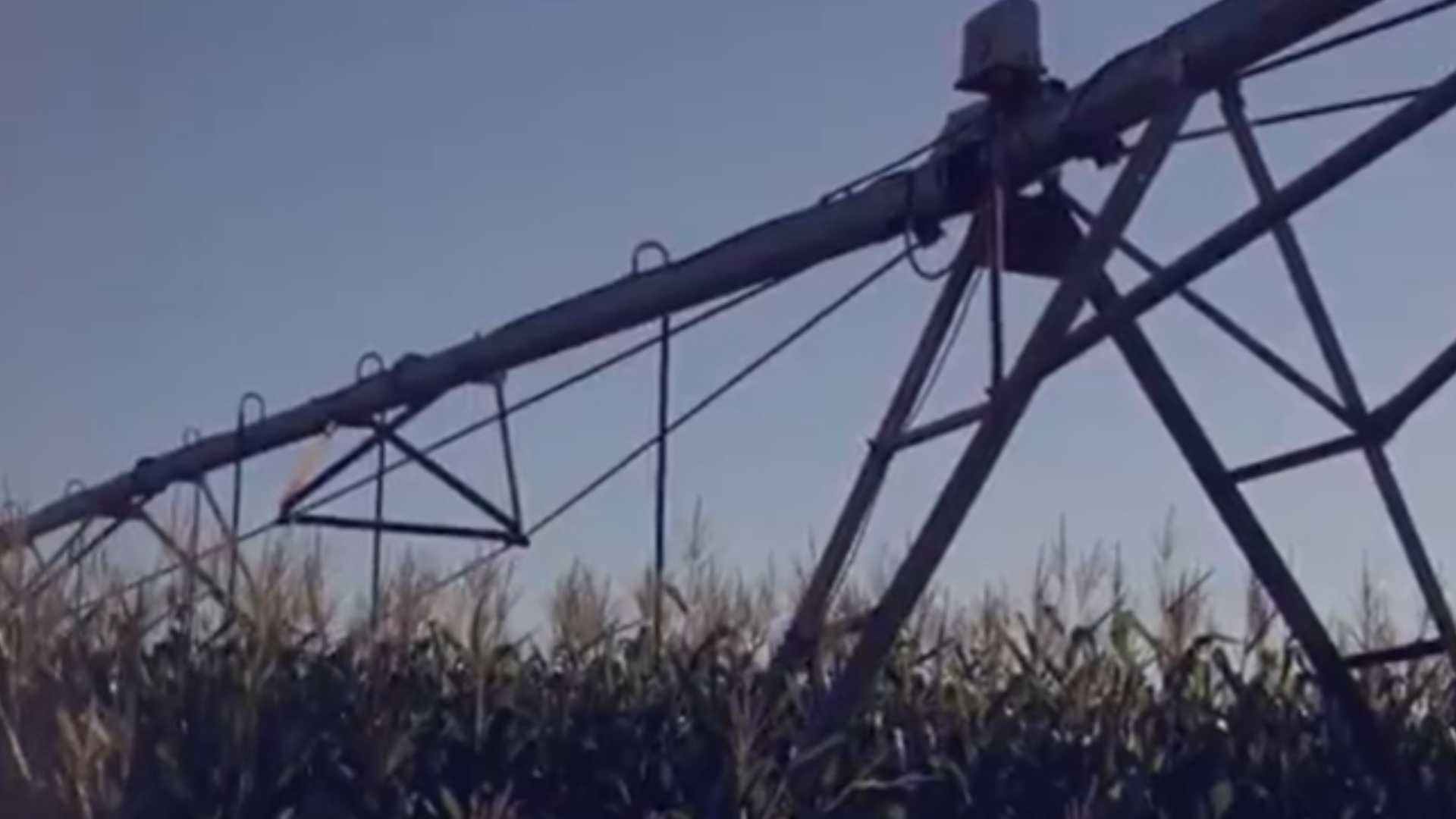 Neymar Jr. fazenda
