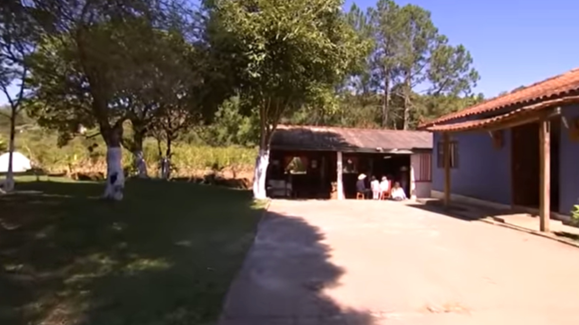 Pardinho fazenda