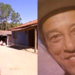 Pardinho fazenda