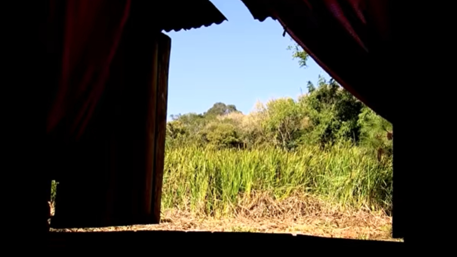 Pardinho fazenda