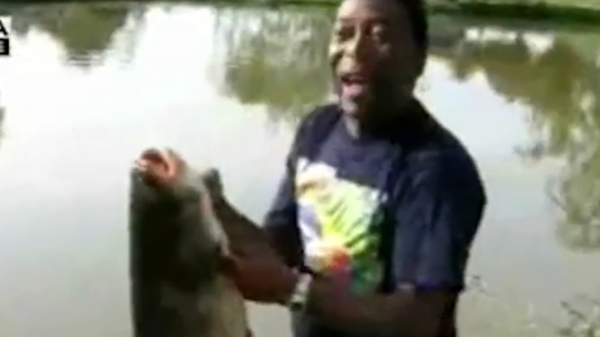 Pelé fazenda
