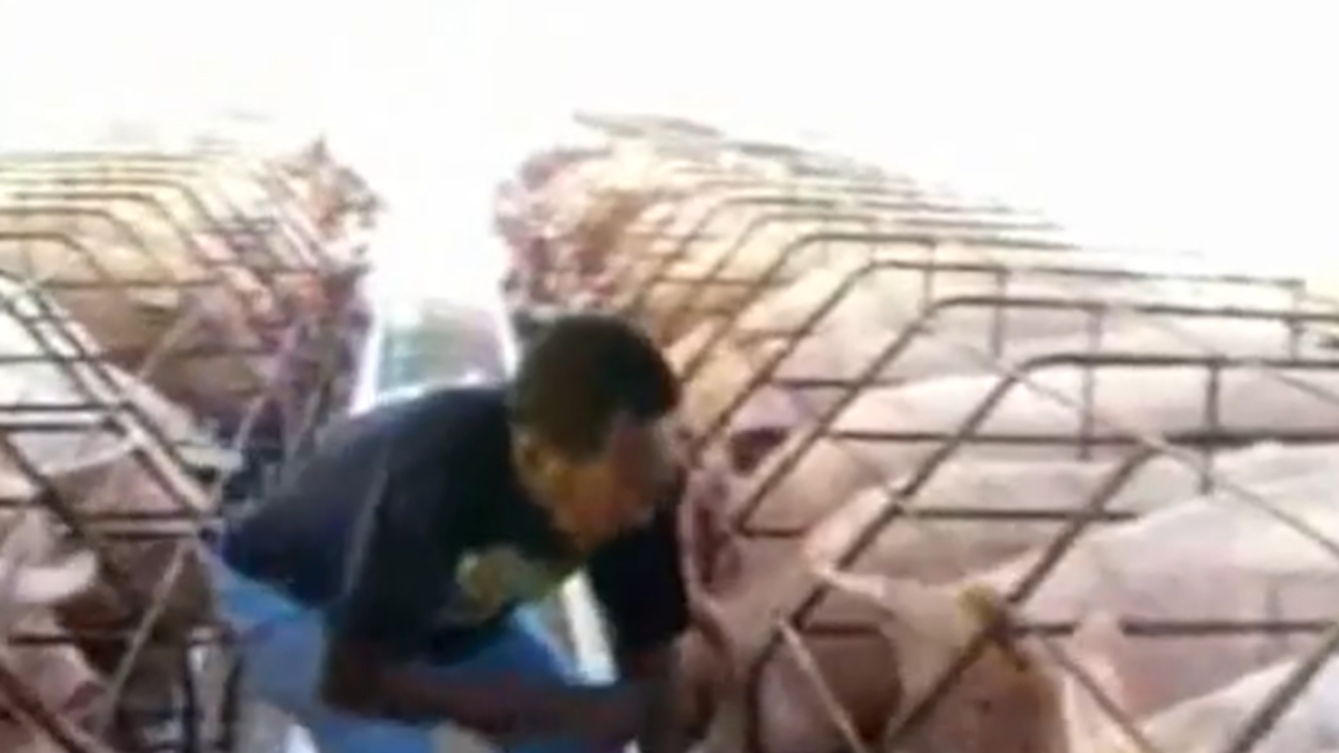 Pelé fazenda