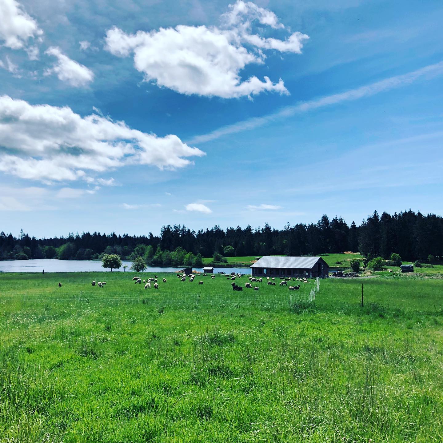 Chris Pratt é dono do Rancho Stillwater - Foto: Reprodução / Instagram