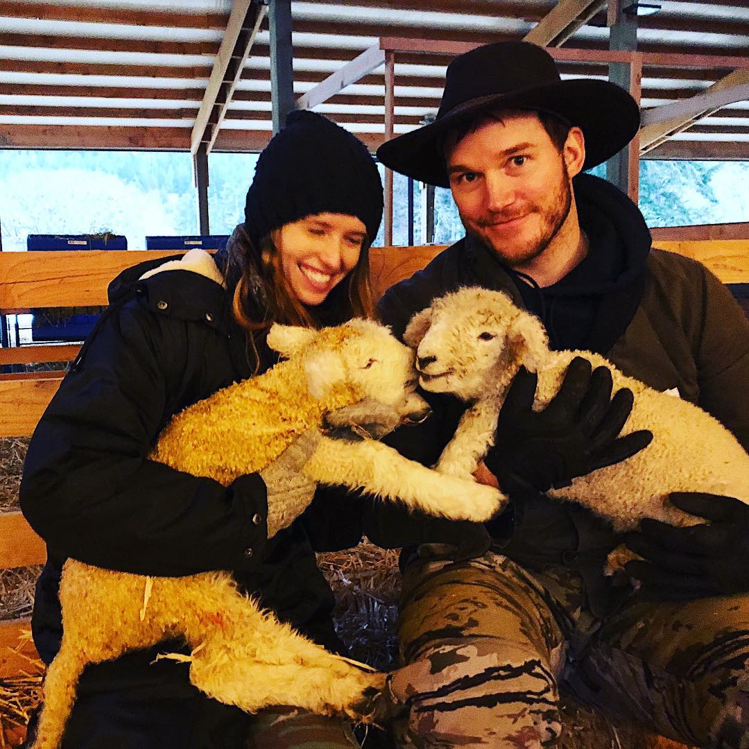 Chris Pratt é dono do Rancho Stillwater - Foto: Reprodução / Instagram