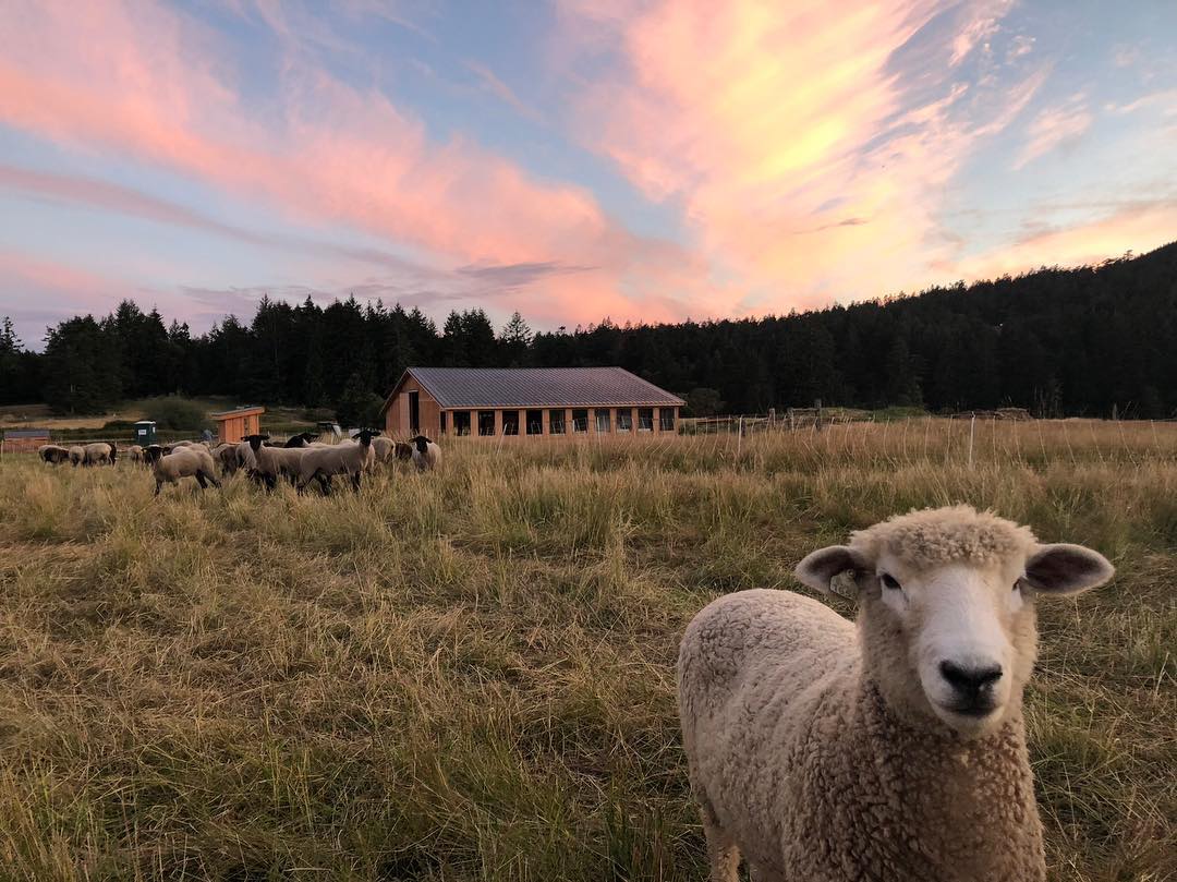Chris Pratt é dono do Rancho Stillwater - Foto: Reprodução / Instagram