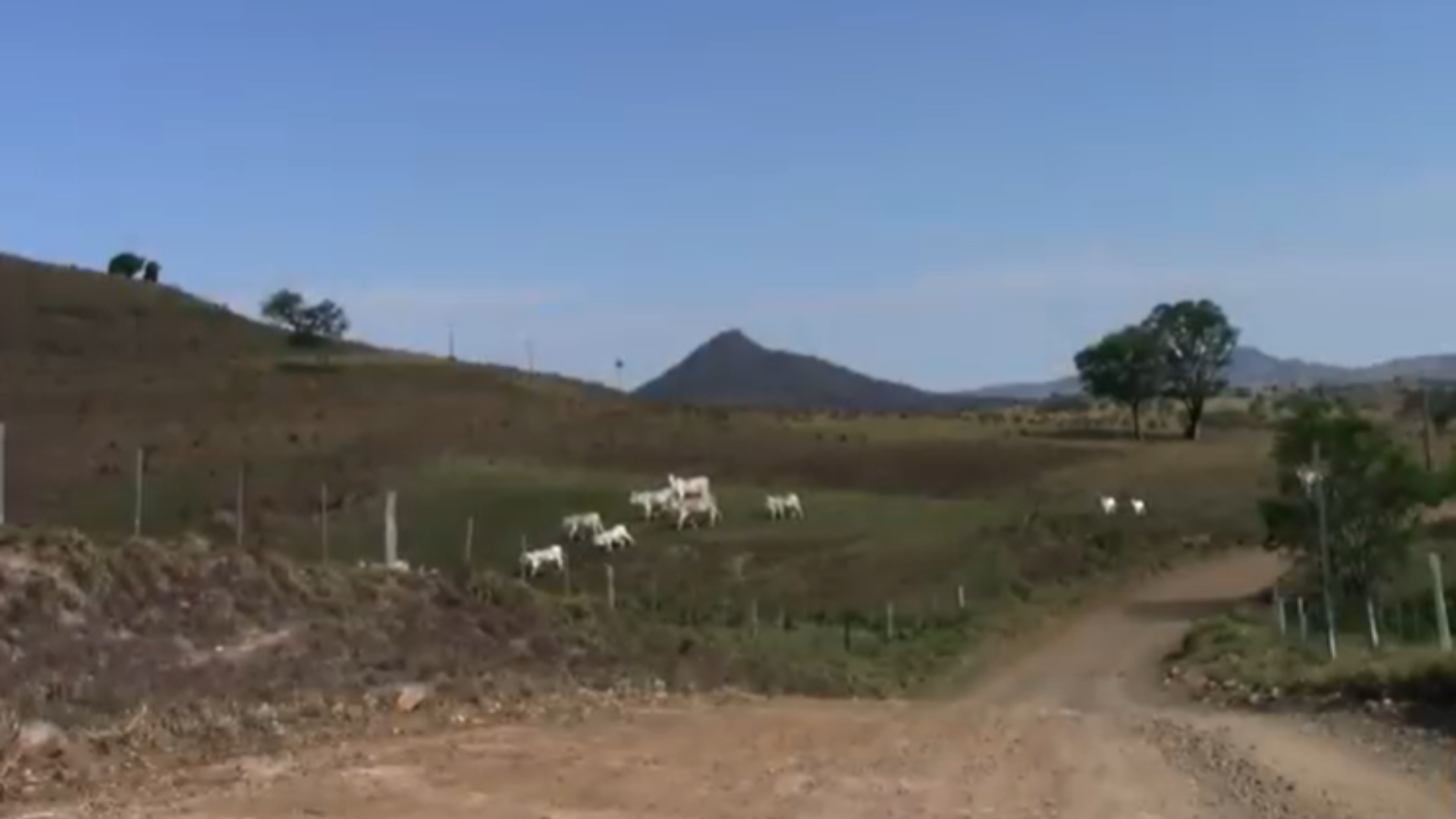 Sérgio Reis fazenda