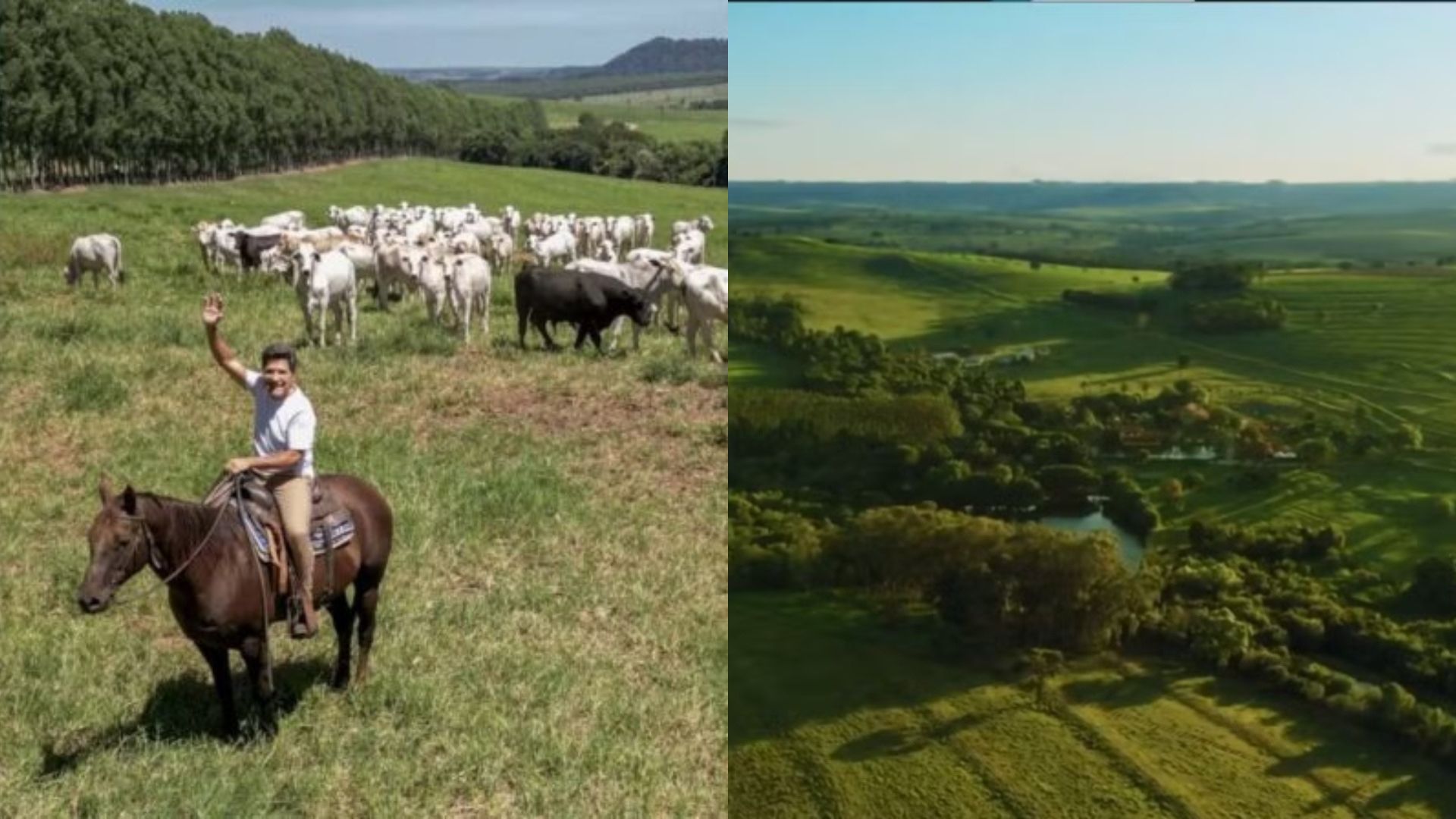 Em destaque: Aos 58 anos, cantor é dono de fazenda de gado com 2 mil hectares que virou cenário de programa de TV